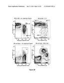 Recombination Sequence (RS) Rearrangement Frequency as a Measure of     Central B Cell Tolerance diagram and image