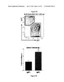 Recombination Sequence (RS) Rearrangement Frequency as a Measure of     Central B Cell Tolerance diagram and image