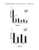 Recombination Sequence (RS) Rearrangement Frequency as a Measure of     Central B Cell Tolerance diagram and image