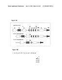 Recombination Sequence (RS) Rearrangement Frequency as a Measure of     Central B Cell Tolerance diagram and image