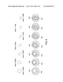 GRAVITY-BASED CASING ORIENTATION TOOLS AND METHODS diagram and image
