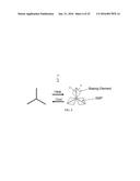 Reversible Shape Memory Polymers Exhibiting Ambient Actuation Triggering diagram and image