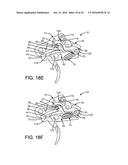 TRIGGER GROUP FOR SEMI-AUTOMATIC FIREARMS diagram and image