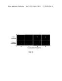 MICROFLUIDIC DEVICE FOR DETECTING NUCLEIC ACIDS AND ASSOCIATED METHODS diagram and image