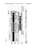 RECOMBINANT PHAGES AND PROTEINS diagram and image