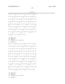 RECOMBINANT PHAGES AND PROTEINS diagram and image