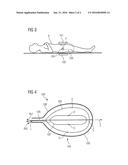 BODY-INSERTABLE DEVICE WITH AN MR COIL AND A SHIN COIL diagram and image