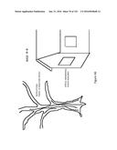 SEE-THROUGH COMPUTER DISPLAY SYSTEMS diagram and image