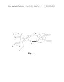 METHOD OF POLING AND CALIBRATION OF ELECTRO-OPTIC FIBERS diagram and image