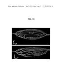 VISUALIZATION  APPARATUS AND VISUALIZATION METHOD diagram and image