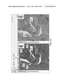 WHOLE SLIDE IMAGE REGISTRATION AND CROSS-IMAGE ANNOTATION DEVICES, SYSTEMS     AND METHODS diagram and image