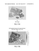 WHOLE SLIDE IMAGE REGISTRATION AND CROSS-IMAGE ANNOTATION DEVICES, SYSTEMS     AND METHODS diagram and image