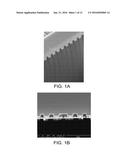 TEM SAMPLE PREPARATION diagram and image