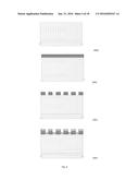 BIFACIAL PHOTOVOLTAIC DEVICES diagram and image