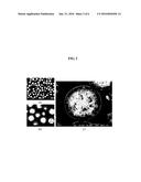 CATHODE MATERIAL FOR NON-AQUEOUS LITHIUM SECONDARY BATTERY USING SPHERICAL     COBALT HYDROXIDE diagram and image