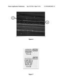 MECHANICAL MILKING SYSTEM, DEVICE, PROCEDURE AND USE FOR DAIRY ANIMALS     THAT ALLOWS INHIBITING, AND/OR PREVENTING THE PRESENCE OF INFECTIONS DUE     TO MASTITIS, WITH SURFACE FUNGICIDE, ANTIBACTERIAL, ANTIVIRUS, AND     MICROBICIDE PROPERTIES, WHEREIN THE SURFACE COMPRISES SPECIFIC SURFACE     RUGOSITY FORMED BY A SPECIAL ALLOY WITH COPPER CONTENT MOSTLY diagram and image