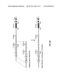 GENETICALLY MODIFIED T CELL RECEPTOR MICE diagram and image