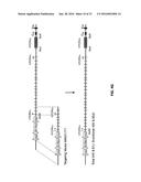 GENETICALLY MODIFIED T CELL RECEPTOR MICE diagram and image