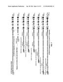 GENETICALLY MODIFIED T CELL RECEPTOR MICE diagram and image