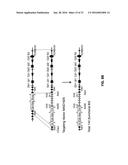 GENETICALLY MODIFIED T CELL RECEPTOR MICE diagram and image