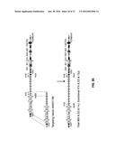 GENETICALLY MODIFIED T CELL RECEPTOR MICE diagram and image