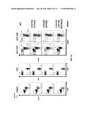 GENETICALLY MODIFIED T CELL RECEPTOR MICE diagram and image