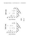 GENETICALLY MODIFIED T CELL RECEPTOR MICE diagram and image