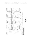 GENETICALLY MODIFIED T CELL RECEPTOR MICE diagram and image