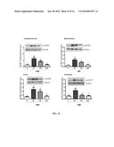 PRETERM INFANT NUTRITIONAL COMPOSITIONS CONTAINING     BETA-HYDROXY-BETA-METHYLBUTYRIC ACID diagram and image