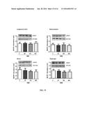 PRETERM INFANT NUTRITIONAL COMPOSITIONS CONTAINING     BETA-HYDROXY-BETA-METHYLBUTYRIC ACID diagram and image