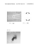 SPINNING NANOWIRES AND METHOD FOR INDUCING CELL ERADICATION USING THE SAME diagram and image