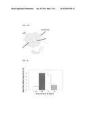 SPINNING NANOWIRES AND METHOD FOR INDUCING CELL ERADICATION USING THE SAME diagram and image