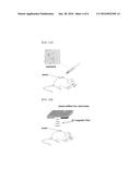 SPINNING NANOWIRES AND METHOD FOR INDUCING CELL ERADICATION USING THE SAME diagram and image