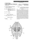 Systems, Assemblies and Methods for Spinal Derotation diagram and image