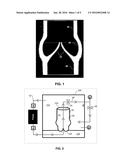 Decellularization Method and System and Decellularized Tissue Formed     Thereby diagram and image