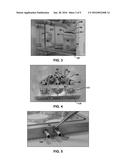 Decellularization Method and System and Decellularized Tissue Formed     Thereby diagram and image