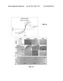 Decellularization Method and System and Decellularized Tissue Formed     Thereby diagram and image