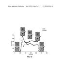 Decellularization Method and System and Decellularized Tissue Formed     Thereby diagram and image