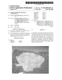 Stable Silk Protein Fragment Compositions diagram and image