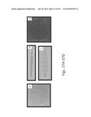 Stable Silk Protein Fragment Compositions diagram and image