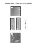 Stable Silk Protein Fragment Compositions diagram and image