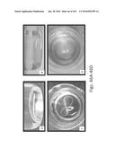 Stable Silk Protein Fragment Compositions diagram and image