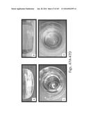 Stable Silk Protein Fragment Compositions diagram and image