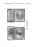 Stable Silk Protein Fragment Compositions diagram and image