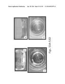 Stable Silk Protein Fragment Compositions diagram and image