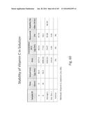 Stable Silk Protein Fragment Compositions diagram and image