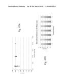 Stable Silk Protein Fragment Compositions diagram and image