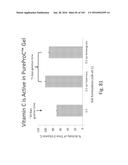 Stable Silk Protein Fragment Compositions diagram and image