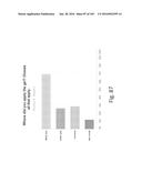 Stable Silk Protein Fragment Compositions diagram and image