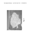 Stable Silk Protein Fragment Compositions diagram and image